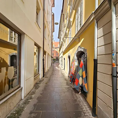 Apartma River And Castle View Rose Tour As Ljubljana