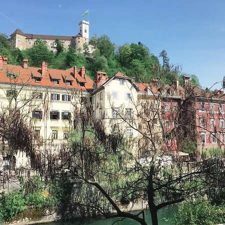 River And Castle View Rose Tour As